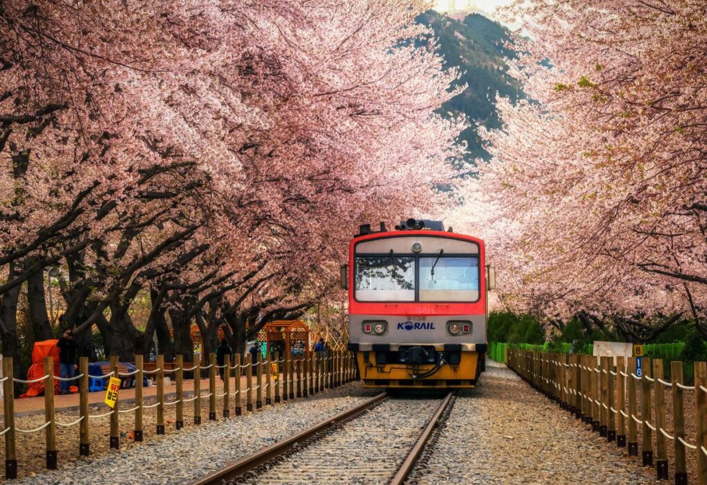 15 Must-Have Travel Skills to Become a Pro Traveler